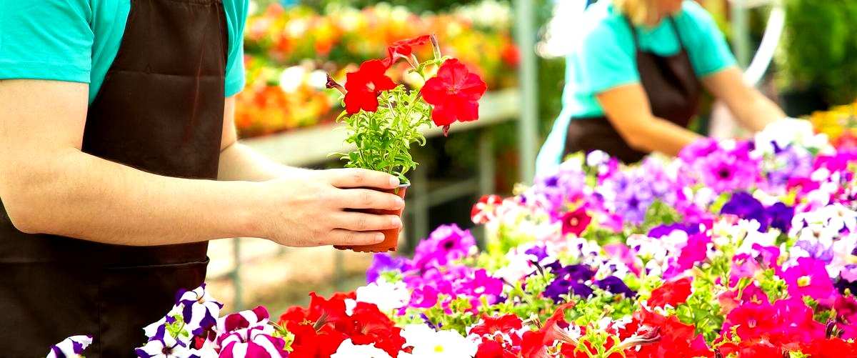 ¿Cuál es la función de una floristería?