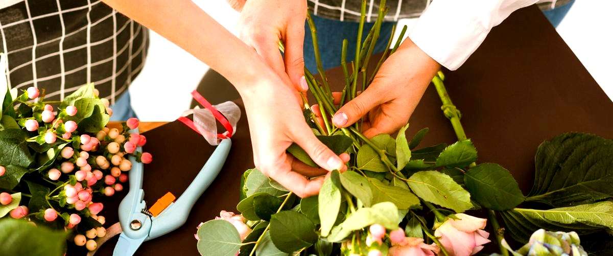 ¿Cuál es la importancia de elegir una floristería de calidad?