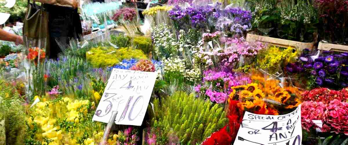 ¿Cuál es la rentabilidad de una floristería en Pamplona (Navarra)?