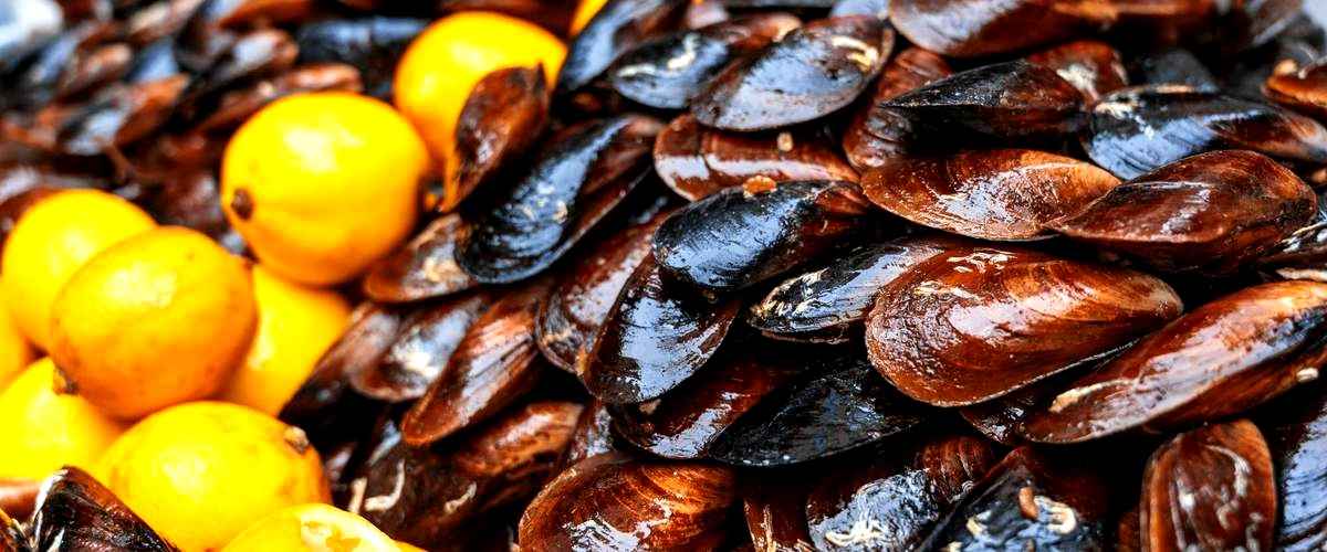 ¿Cuál es la temporada de cultivo de los mejillones en Galicia?