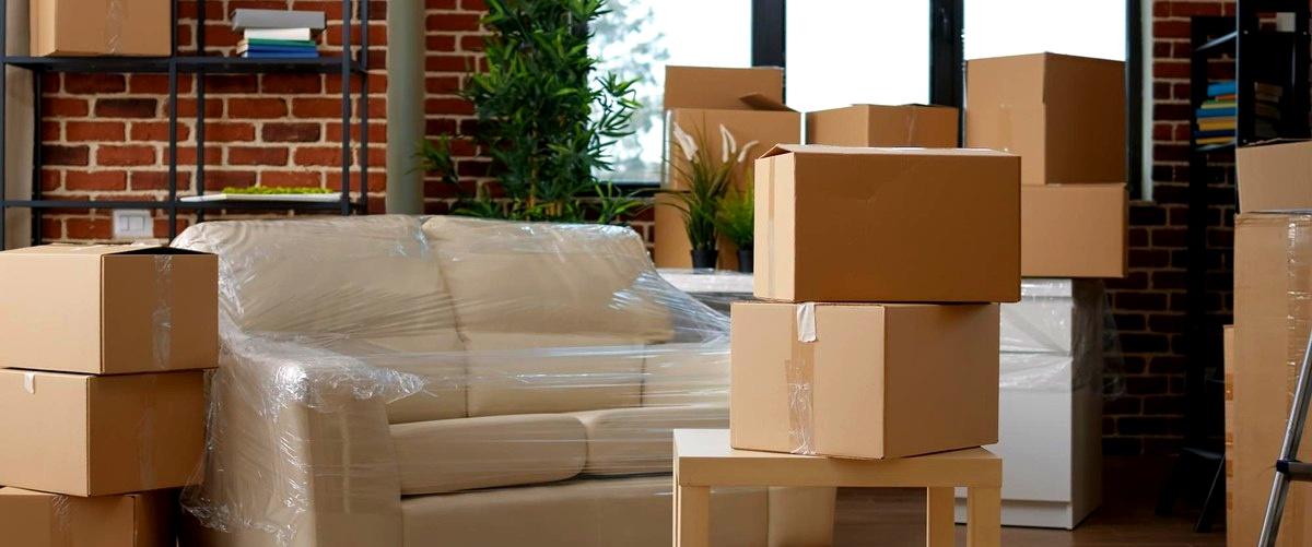 ¿Cuáles son las actividades que se llevan a cabo en una empresa de mudanzas en Elche (Alicante)?