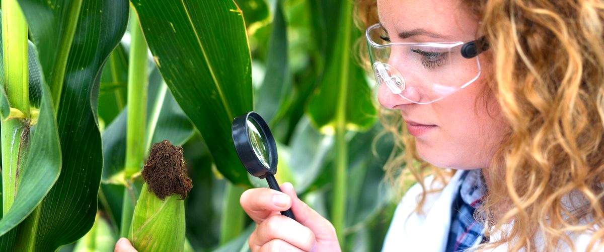 ¿Cuáles son las aplicaciones más comunes de la biotecnología en Navarra?