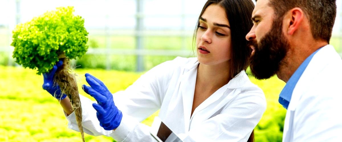 ¿Cuáles son las áreas de investigación de las empresas de biotecnología en Almería?
