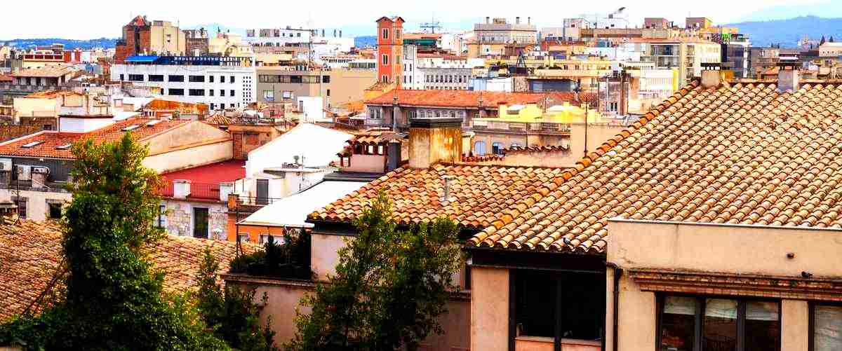 ¿Cuáles son las casas de cambio en Pozuelo de Alarcón que ofrecen las mejores tasas de cambio?