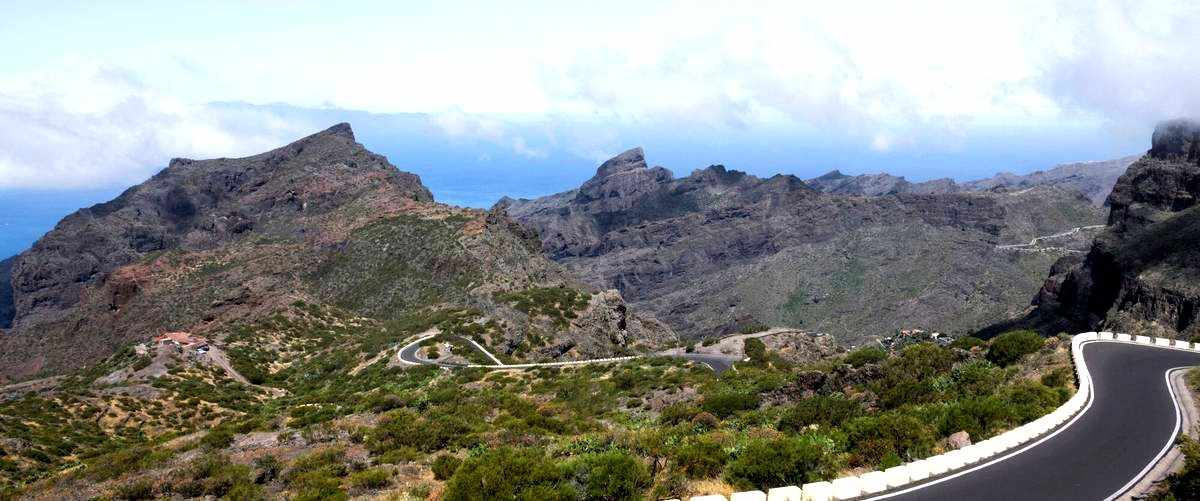 ¿Cuáles son las empresas que utilizan el transporte terrestre en Tenerife?