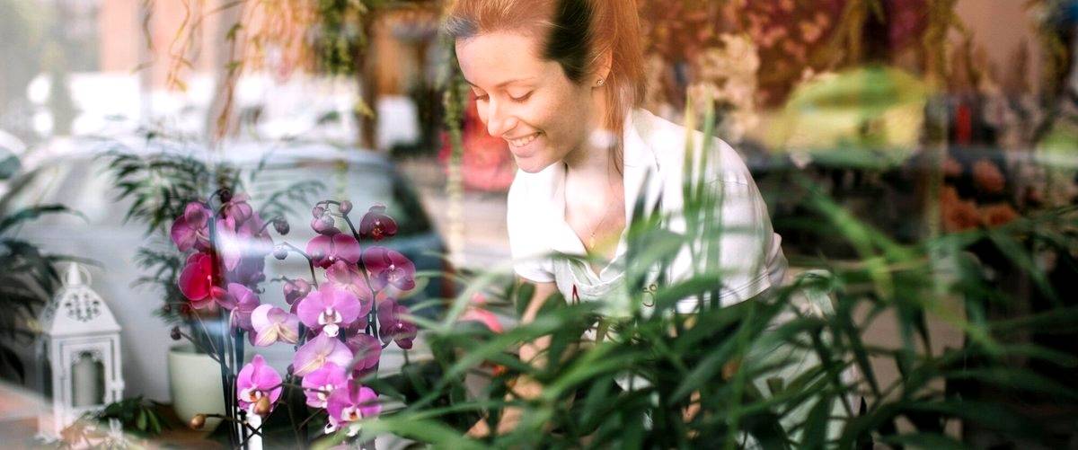 ¿Cuáles son las flores más populares en las floristerías de Pozuelo de Alarcón?