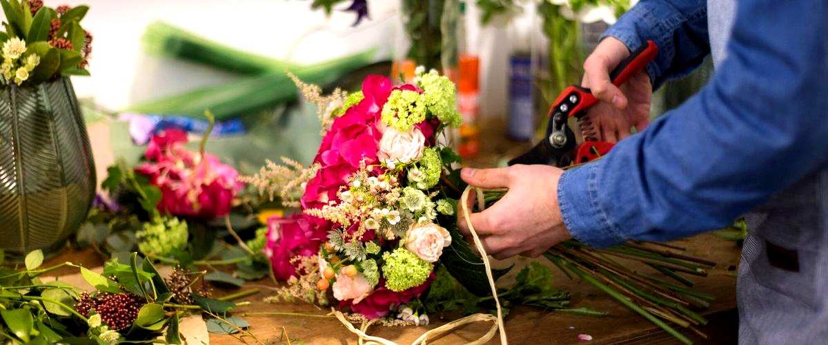 ¿Cuáles son las flores más populares para regalar en Lugo?