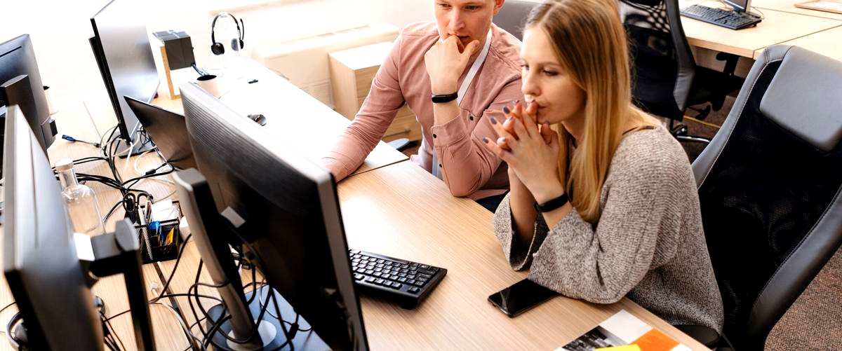 ¿Cuáles son las habilidades clave que debe tener un desarrollador web en Navarra?