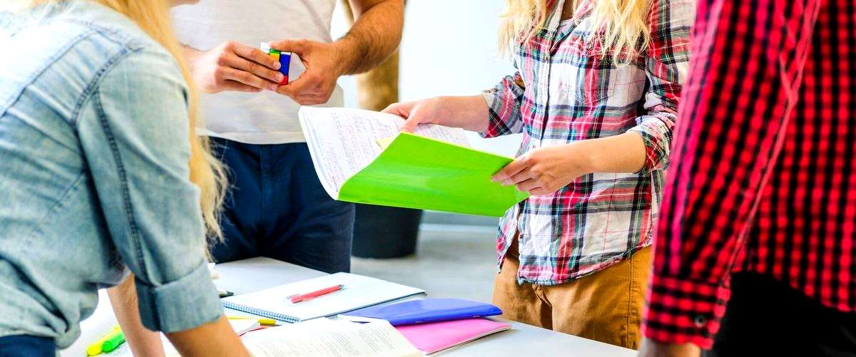 ¿Cuáles son las mejores escuelas de negocios en línea en Pontevedra?