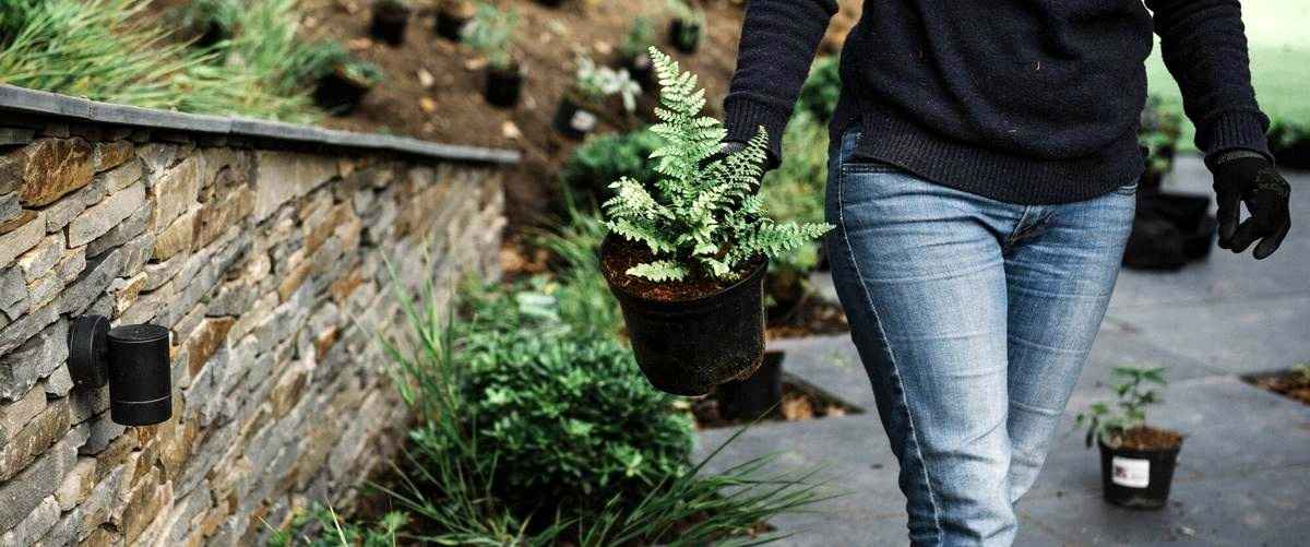 ¿Cuáles son las tareas habituales en un trabajo de jardinería?