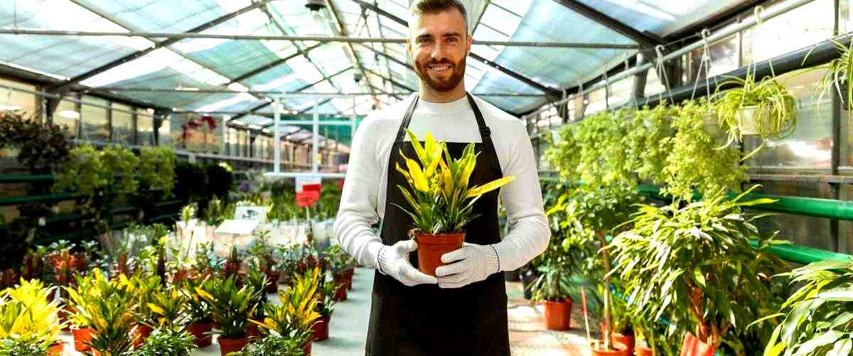 ¿Cuáles son las tareas que se realizan en un trabajo de jardinería en Mataró (Barcelona)?