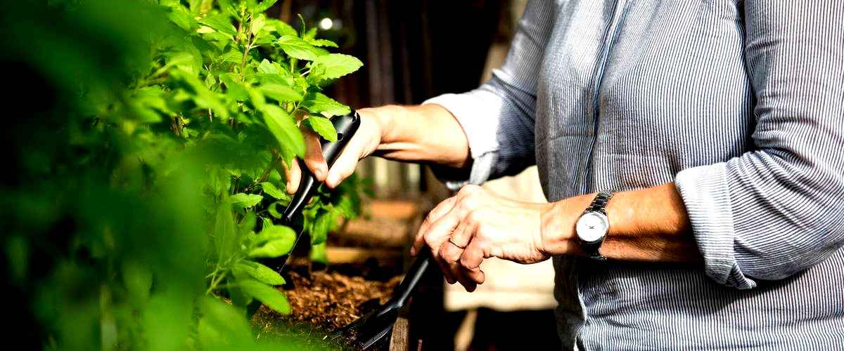 ¿Cuáles son las tareas que se realizan en un trabajo de jardinería en Orense?