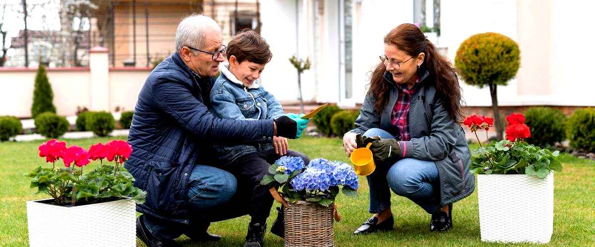 ¿Cuáles son los beneficios de contratar a una empresa de jardinería?