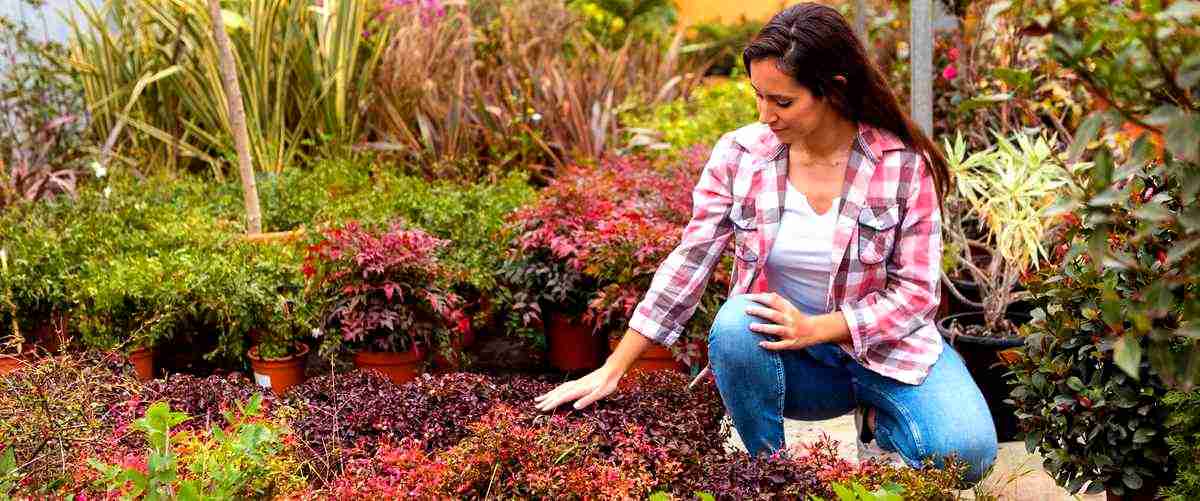¿Cuáles son los beneficios de contratar un servicio de jardinería en Gerona?