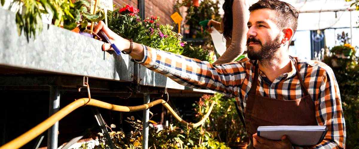 ¿Cuáles son los beneficios de contratar una empresa de jardinería en Terrassa?