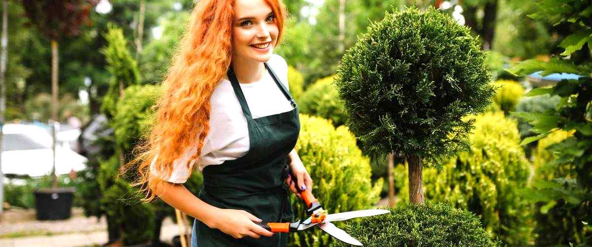 ¿Cuáles son los beneficios de contratar una empresa de jardinería en Vitoria?