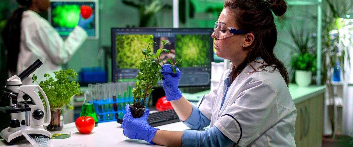 ¿Cuáles son los beneficios de las empresas de biotecnología?