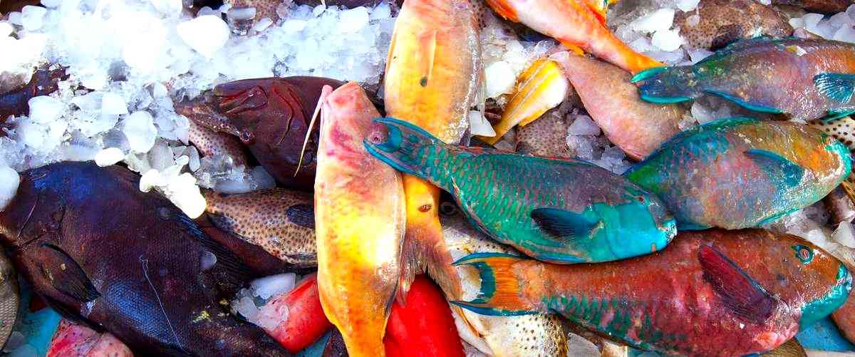 ¿Cuáles son los cuidados básicos para mantener peces en casa?