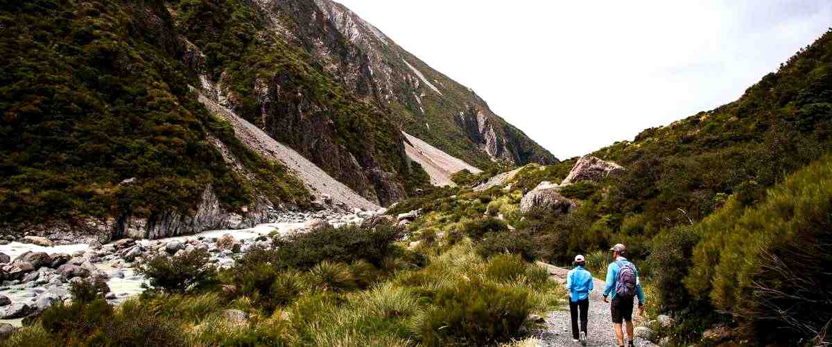 ¿Cuáles son los diferentes tipos de agencias de viaje en Cantabria?