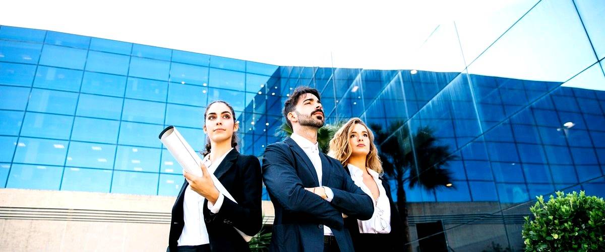 ¿Cuáles son los diferentes tipos de programas de MBA disponibles en Málaga?