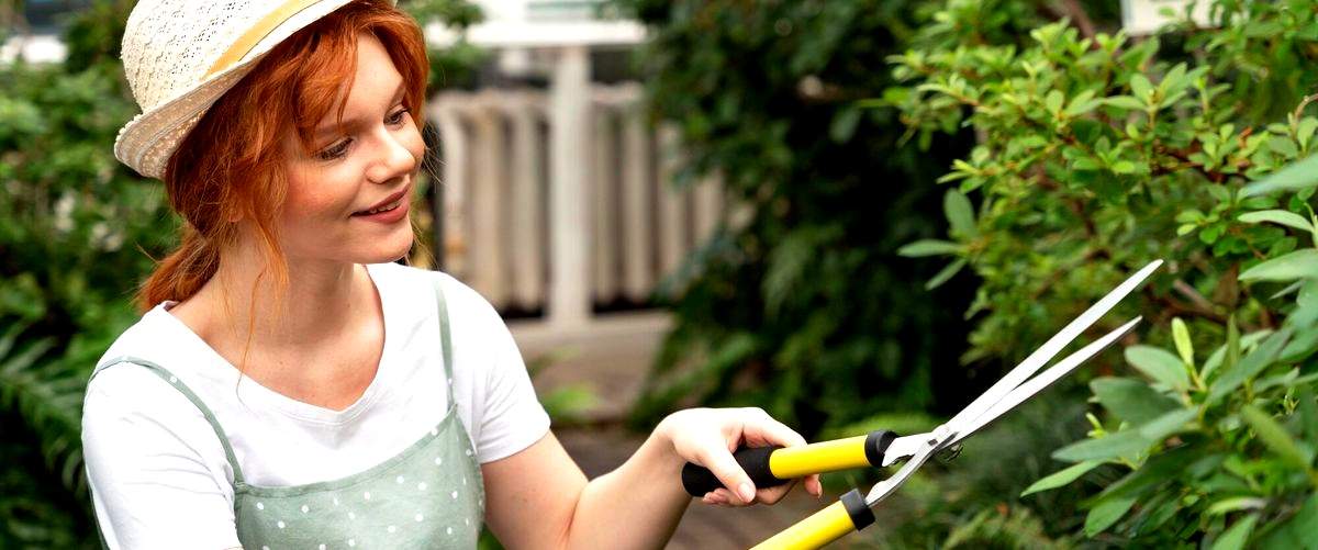 ¿Cuáles son los elementos que se incluyen en un servicio de jardinería en Cuenca?