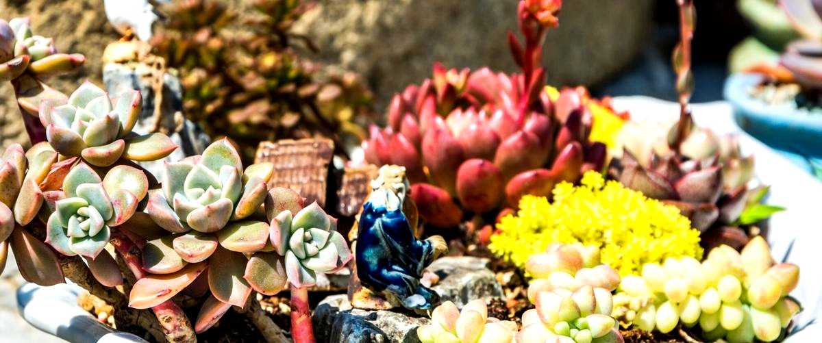 ¿Cuáles son los platos más populares en un restaurante indio? ¿Cuáles son los platos más populares en un restaurante indio?