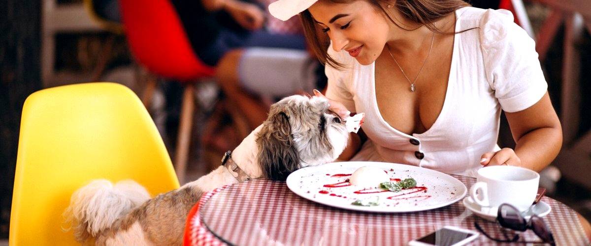 ¿Cuáles son los platos más típicos de la cocina italiana?