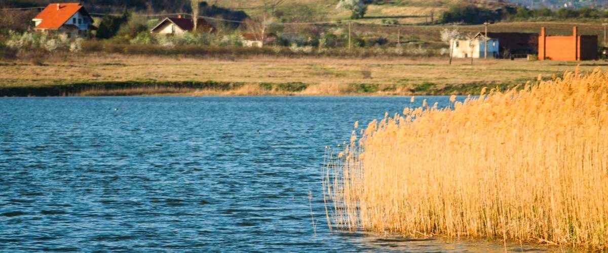 ¿Cuáles son los platos típicos que se pueden encontrar en una arrocería en Cáceres?