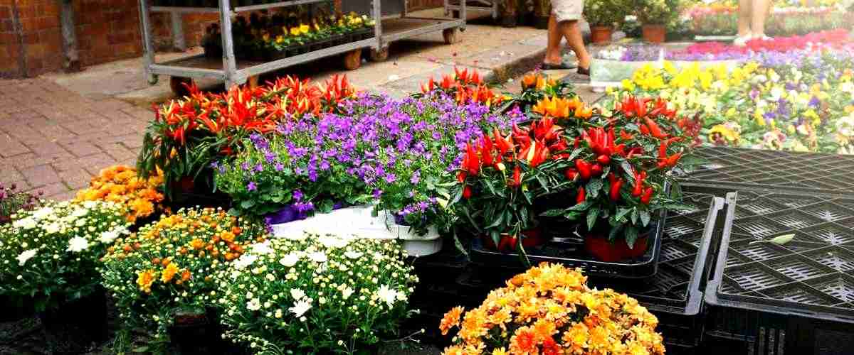 ¿Cuáles son los precios medios de los arreglos florales en El Puerto de Santa María?