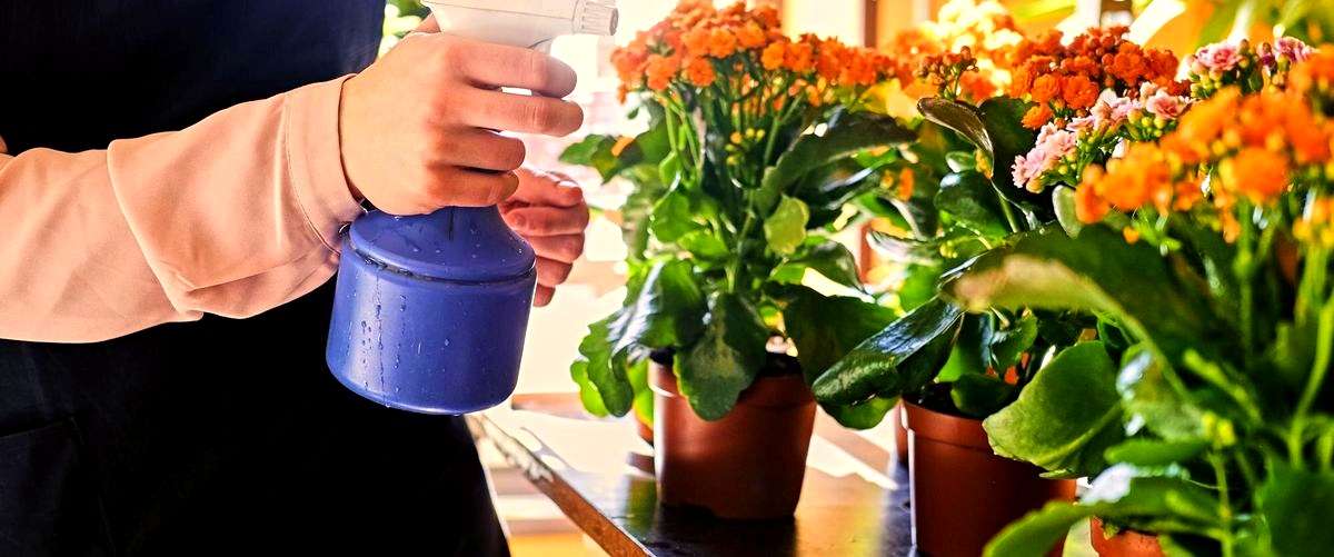 ¿Cuáles son los precios medios de los arreglos florales en Sevilla?