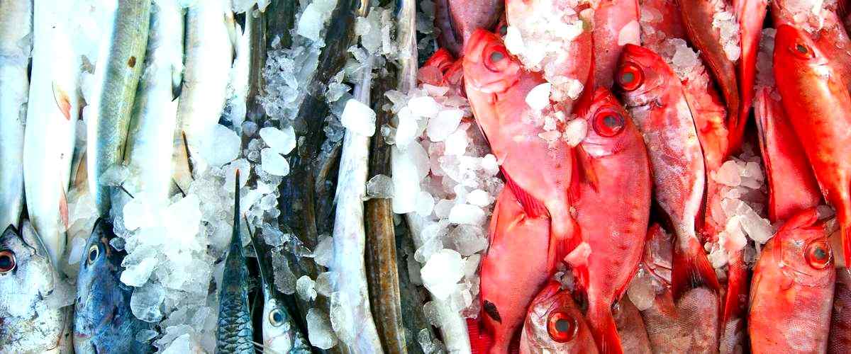 ¿Cuáles son los precios medios de los peces en las tiendas de Cornella de Llobregat?