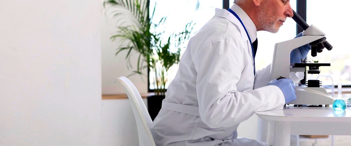 ¿Cuáles son los precios medios de los servicios de biotecnología en Reus?