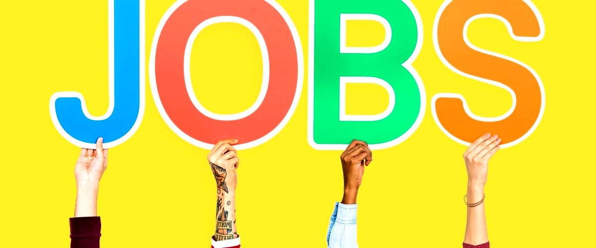 ¿Cuáles son los precios medios de los servicios de empleo en Zamora?