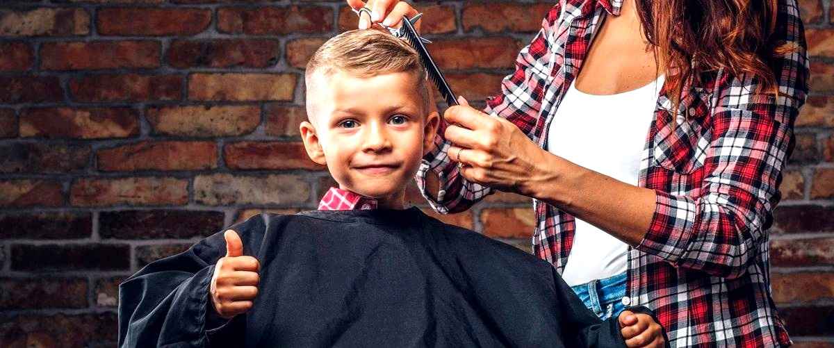 ¿Cuáles son los precios medios de los servicios en las peluquerías infantiles en Asturias?