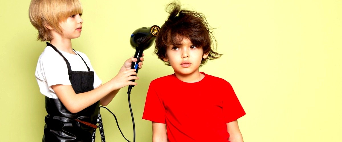 ¿Cuáles son los precios medios de los servicios en las peluquerías infantiles en Ávila?