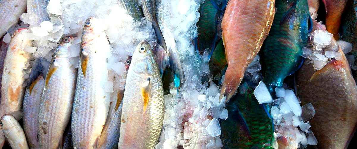 ¿Cuáles son los precios medios para la venta de peces en Gerona?