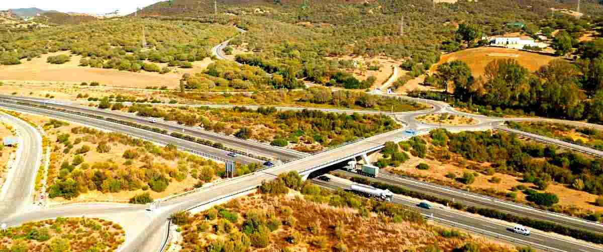 ¿Cuáles son los precios medios para los servicios de transporte en Vizcaya?