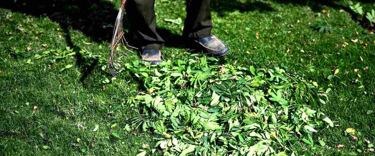 ¿Cuáles son los servicios más comunes ofrecidos por los jardineros en Alicante?