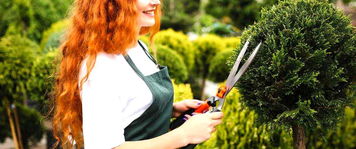¿Cuáles son los servicios más comunes ofrecidos por los jardineros en Bilbao?