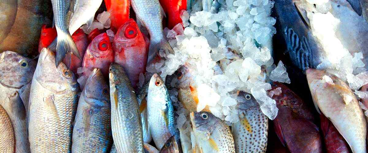 ¿Cuáles son los servicios más comunes que ofrecen las tiendas de peces en Fuenlabrada?