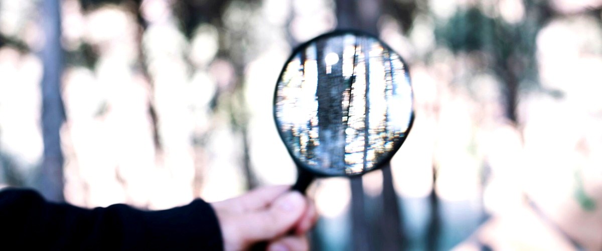 ¿Cuáles son los servicios que ofrece un detective privado en Cantabria?