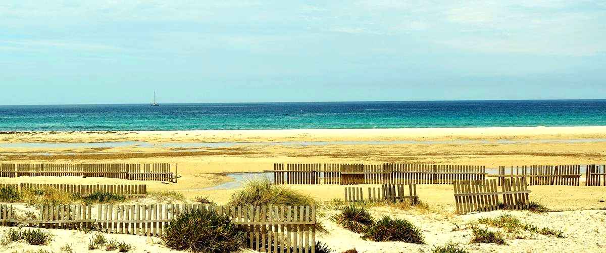 ¿Cuáles son los síntomas que indican si necesito visitar a un neurólogo en Elche (Alicante)?