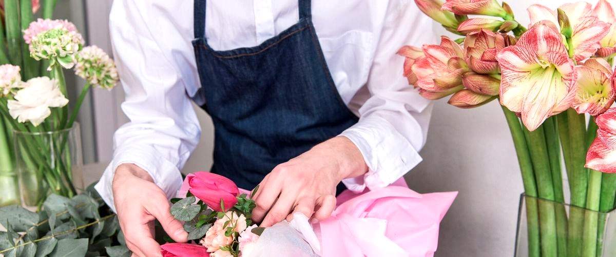 ¿Cuán rentable puede ser una floristería en Málaga?