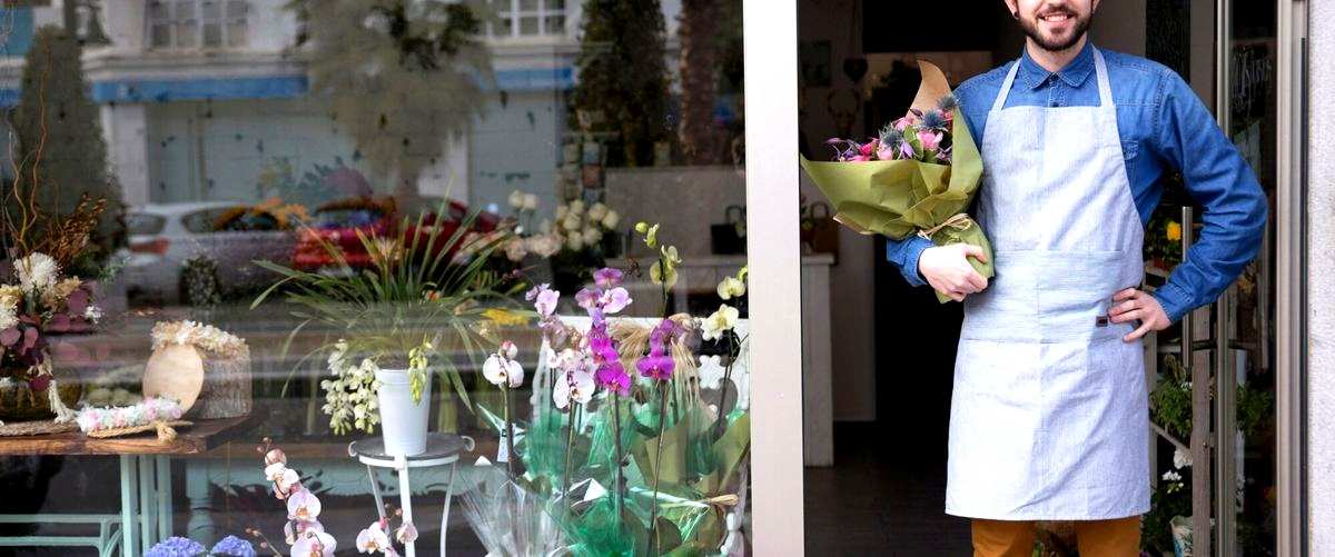 ¿Cuándo es la temporada de tulipanes en las floristerías de Tenerife?