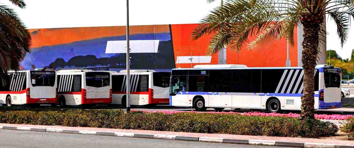 ¿Cuántas empresas de autobuses hay en Lorca (Murcia)?