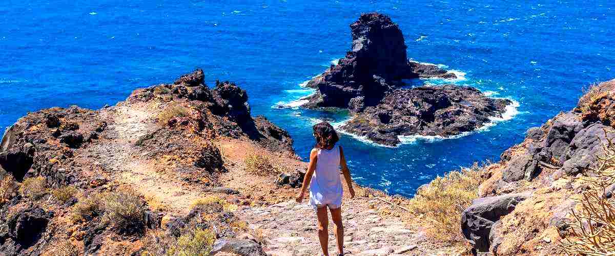 ¿Cuántas empresas de publicidad hay en San Cristóbal de La Laguna (Tenerife)?