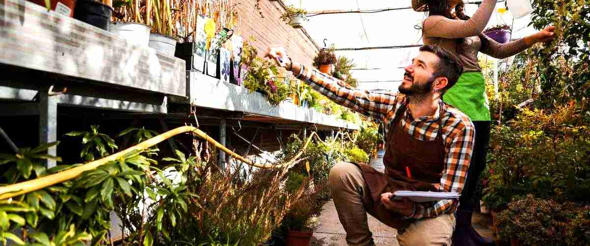 ¿Cuánto cobra un jardinero autónomo por hora en Asturias?