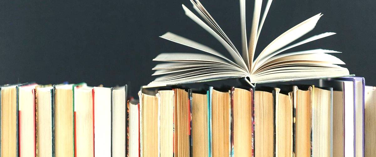 ¿Cuánto cobra un traductor por día en Cartagena (Murcia)?