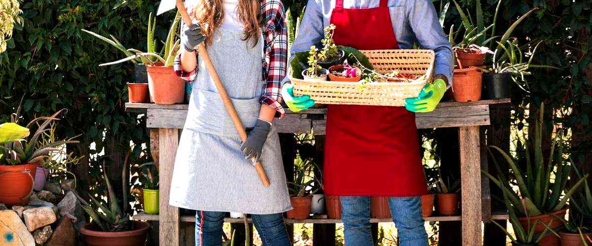 ¿Cuánto cobran los jardineros en Dos Hermanas (Sevilla) al mes?