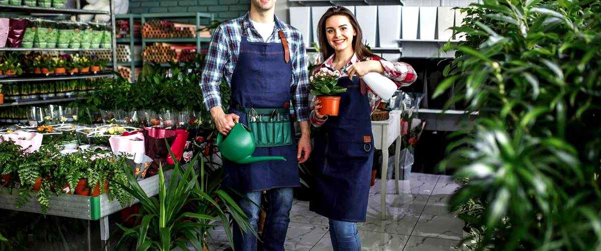 ¿Cuánto cobran los jardineros en Lérida al mes?